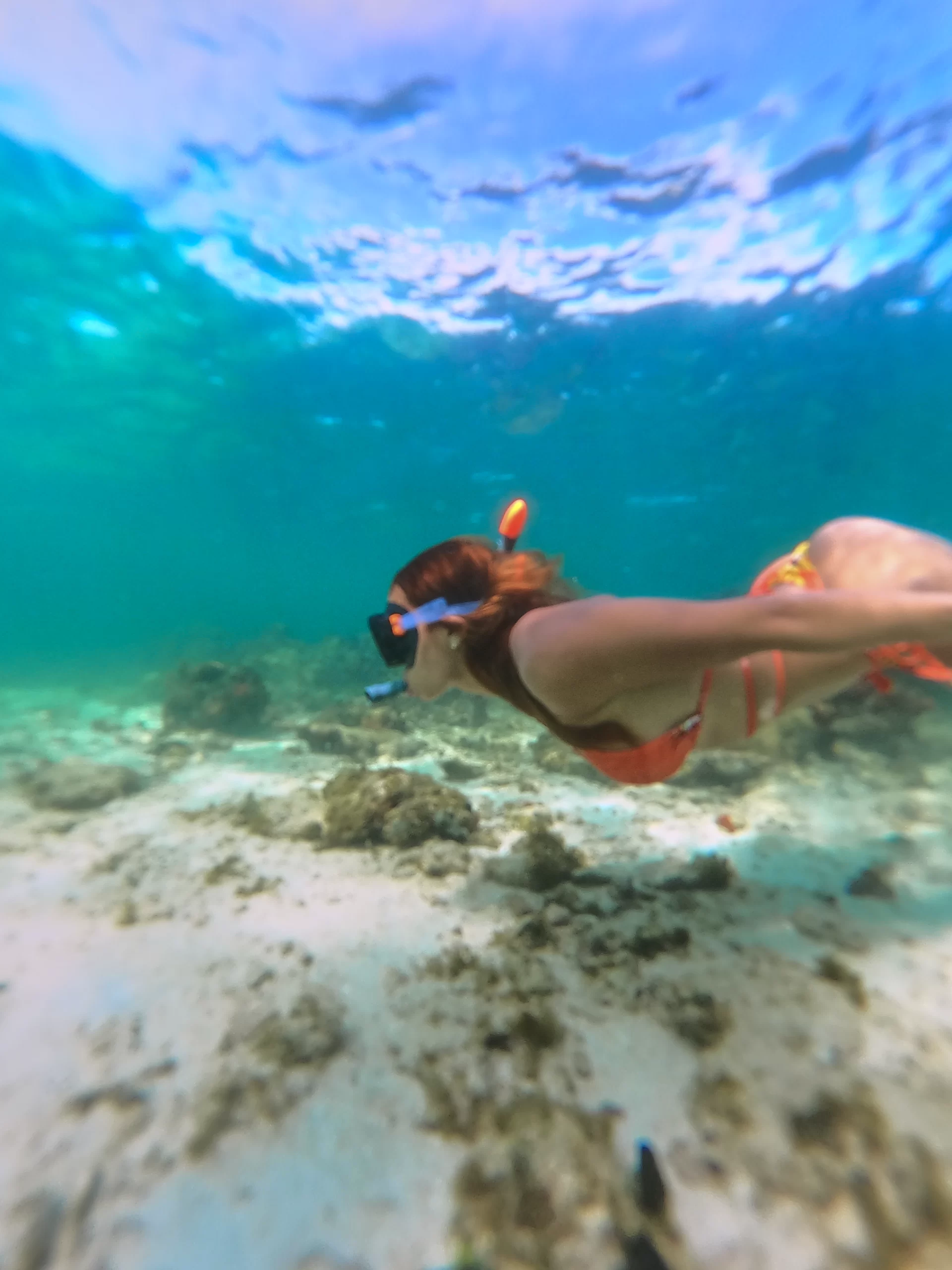 snorkel en isla mucura, asi se disfruta