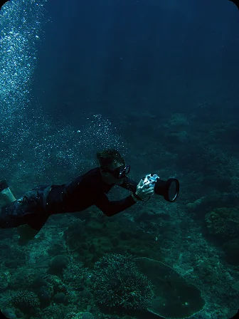 Bioluminescent Plankton Tour