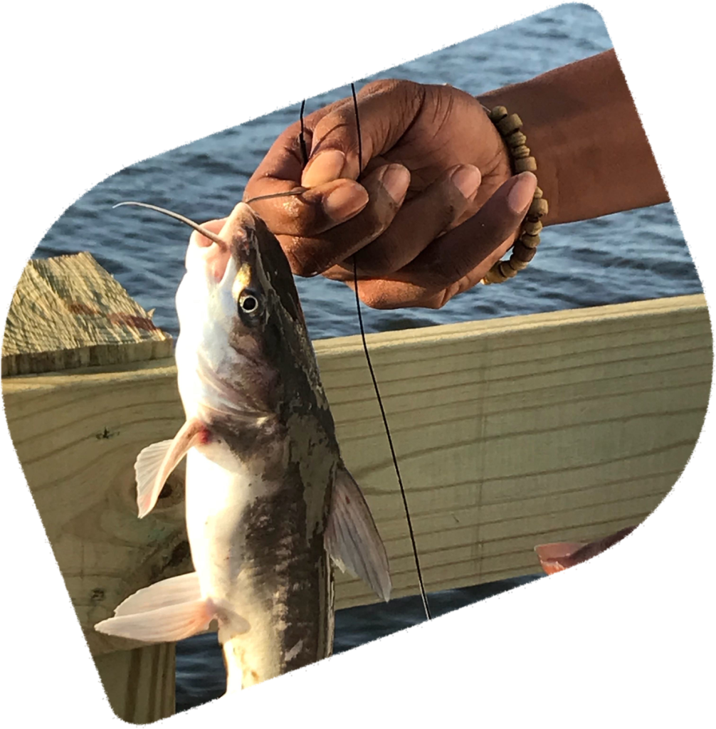 Artisanal Fishing