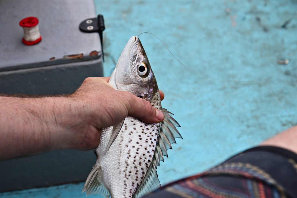 Artisanal Fishing