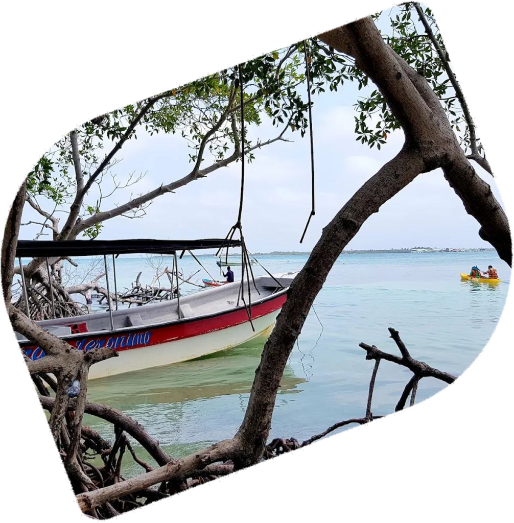 Water Taxi to Other Islands