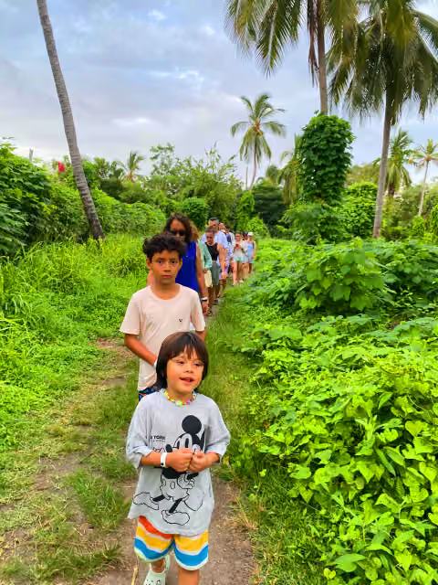 Eco Walks