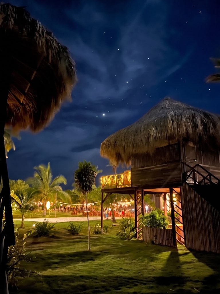 Starry Sky