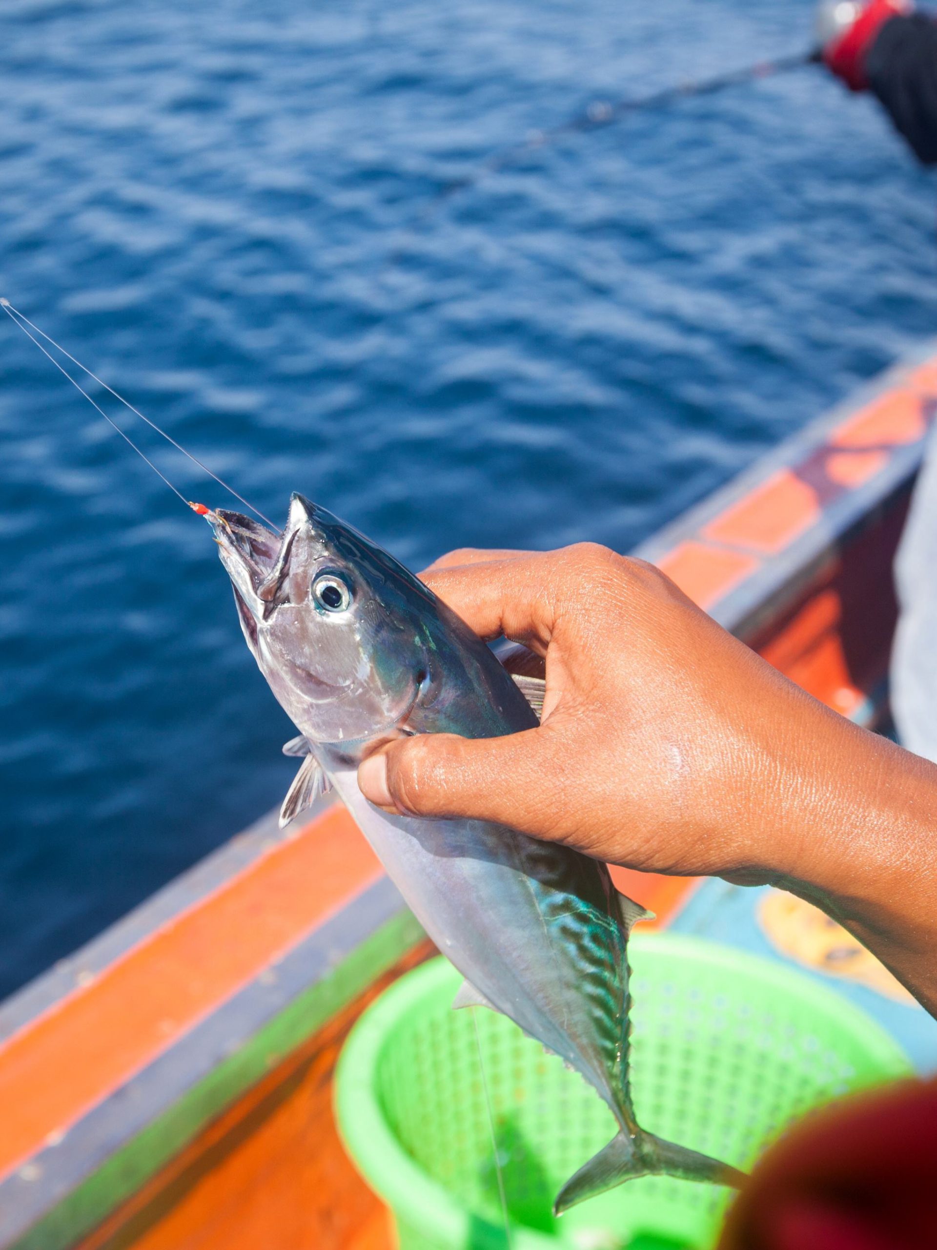Artisanal Fishing